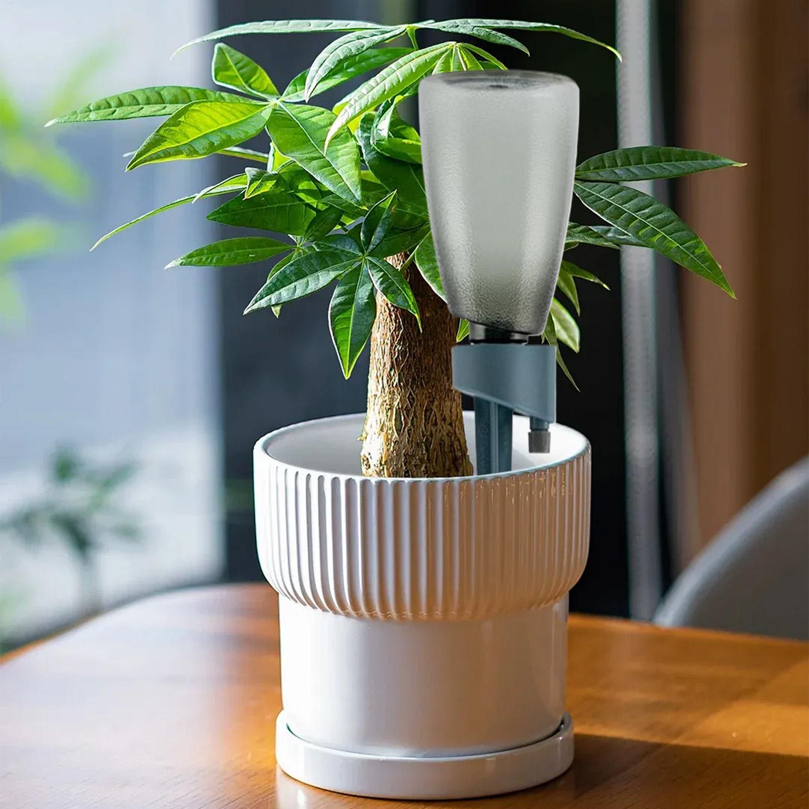Набор из 6 автоматических сист – обзор и цена Self Watering Insert