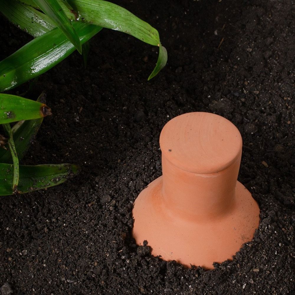 Набор из 4 автоматических само – обзор и цена Self Watering Insert